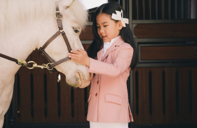 Nouveautés KENTUCKY